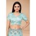 Picture of Beautiful Powder Blue Saree