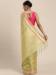 Picture of Shapely Organza Nectarine Saree
