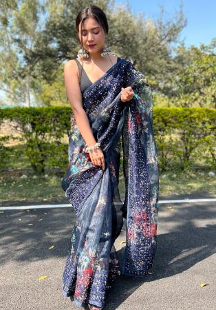 Picture of Good Looking Organza Light Steel Blue Saree