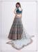 Picture of Bewitching Net Teal Lehenga Choli