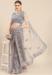 Picture of Enticing Net Grey Saree