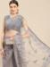 Picture of Enticing Net Grey Saree