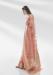 Picture of Exquisite Organza Indian Red Saree