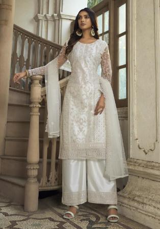 Picture of Admirable Net Silver Straight Cut Salwar Kameez