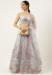 Picture of Well Formed Net Silver Lehenga Choli
