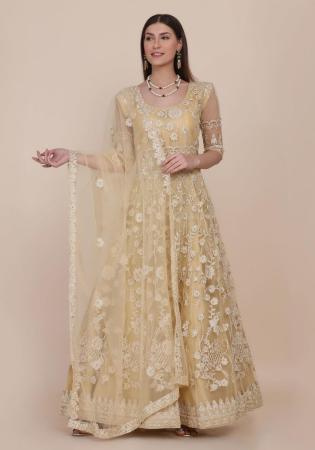 Picture of Bewitching Net Tan Straight Cut Salwar Kameez