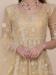 Picture of Bewitching Net Tan Straight Cut Salwar Kameez