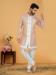 Picture of Sightly Georgette & Silk Pink & White Indo Western