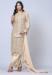 Picture of Bewitching Georgette Tan Straight Cut Salwar Kameez