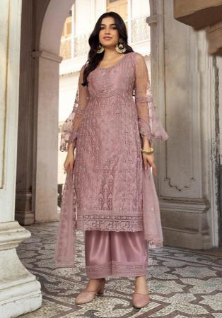 Picture of Beautiful Net Rosy Brown Straight Cut Salwar Kameez