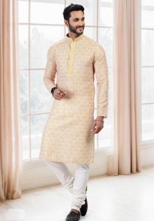 Picture of Good Looking Moccasin Kurtas