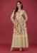 Picture of Sightly Georgette & Silk Tan Readymade Gown
