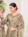 Picture of Comely Net Rosy Brown Straight Cut Salwar Kameez