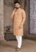 Picture of Shapely Cotton Wheat Kurtas