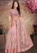 Picture of Exquisite Net Light Pink Saree