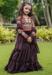 Picture of Gorgeous Georgette Brown Kids Gown