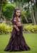 Picture of Gorgeous Georgette Brown Kids Gown