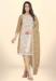Picture of Well Formed Organza Tan Straight Cut Salwar Kameez