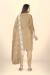 Picture of Well Formed Organza Tan Straight Cut Salwar Kameez