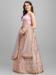 Picture of Sublime Net Rosy Brown Lehenga Choli