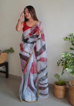 Picture of Fascinating Organza Light Slate Grey Saree