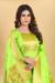 Picture of Taking Silk Green Yellow Straight Cut Salwar Kameez