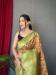 Picture of Sightly Organza Pale Green Saree