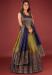 Picture of Comely Silk Sienna Readymade Gown