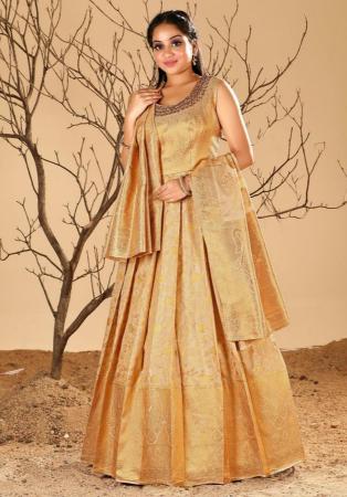 Picture of Nice Silk Burly Wood Readymade Gown