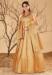 Picture of Nice Silk Burly Wood Readymade Gown