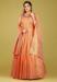 Picture of Delightful Silk Sandy Brown Readymade Gown