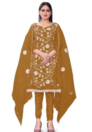 Picture of Well Formed Organza Sienna Straight Cut Salwar Kameez