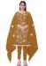 Picture of Well Formed Organza Sienna Straight Cut Salwar Kameez