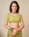 Picture of Shapely Net Sandy Brown Saree