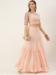 Picture of Georgette & Organza Pale Golden Rod Readymade Gown