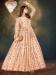 Picture of Beauteous Georgette Old Lace Readymade Gown