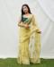 Picture of Taking Organza Burly Wood Saree