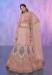 Picture of Enticing Georgette & Net Rosy Brown Lehenga Choli