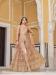 Picture of Enticing Net Tan Straight Cut Salwar Kameez