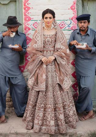 Picture of Taking Net Rosy Brown Party Wear Gown