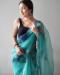 Picture of Stunning Organza Sky Blue Saree