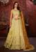 Picture of Well Formed Crepe & Net Pale Golden Rod Lehenga Choli