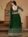 Picture of Comely Georgette Green Lehenga Choli