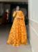 Picture of Sightly Georgette Golden Rod Readymade Gown