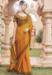 Picture of Lovely Georgette Dark Khaki Saree