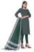 Picture of Taking Cotton Sea Green Straight Cut Salwar Kameez