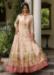 Picture of Ideal Silk Beige Readymade Gown