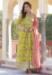Picture of Admirable Silk Golden Rod Readymade Gown