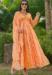 Picture of Shapely Georgette Sandy Brown Readymade Gown