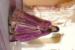 Picture of Fascinating Georgette Medium Orchid Readymade Gown